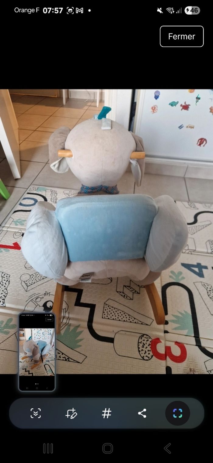 Chien a bascule nattou - photo numéro 2