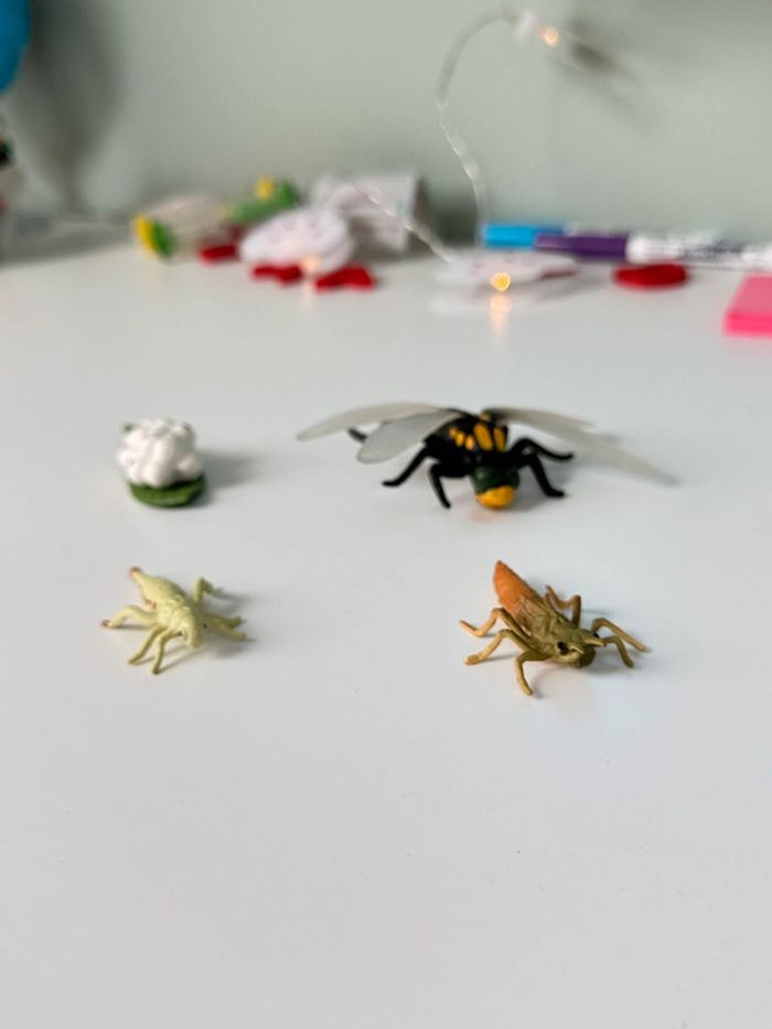Cycle de vie: Figurines de la Libellule (Langage, sciences.) - photo numéro 10