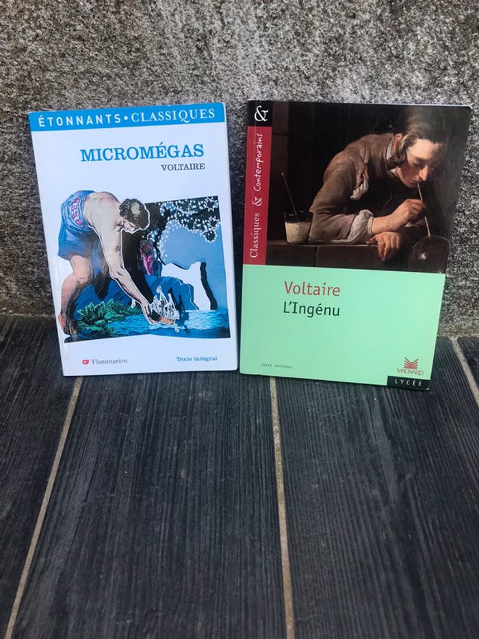 Lot de Livres De Voltaire