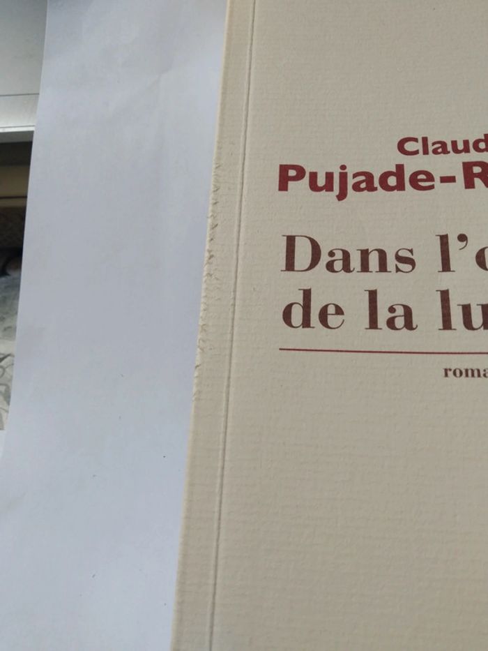 Dans l'ombre de la lumière - photo numéro 2