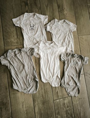 Lot bodies