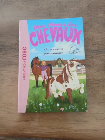 Mes amis les chevaux un nouveau pensionnaire