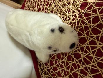 Peluche doudou Bébé Phoque Blanc