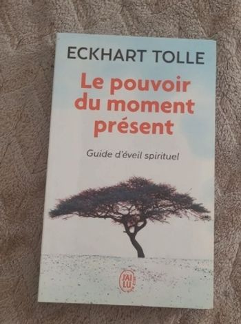 Livre le pouvoir du moment présent