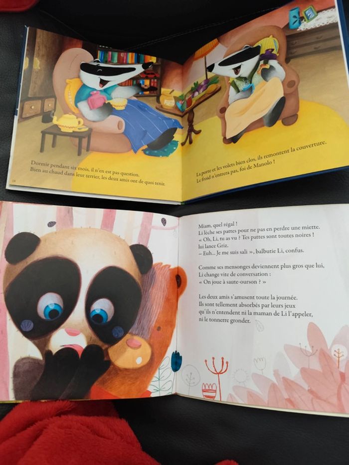 Lot 2 livres enfant mes p'tits albums - photo numéro 3