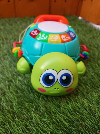 Tortue musical