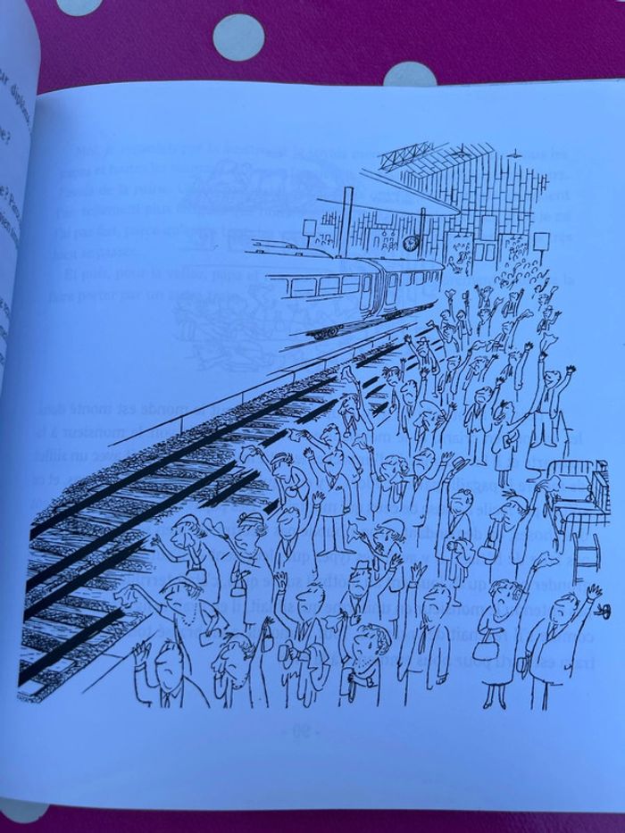 Livre jeunesse - goscinny sempe - Les vacances du petit Nicolas iMav édition - photo numéro 4