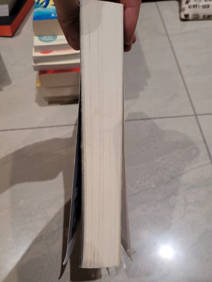 Les royaumes de feu tome 1 - photo numéro 3