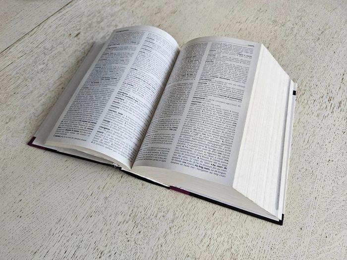 Dictionnaire Larousse Maxipoche Plus 2010 renforcé et robuste, précis de grammaire inclus, compact - photo numéro 14