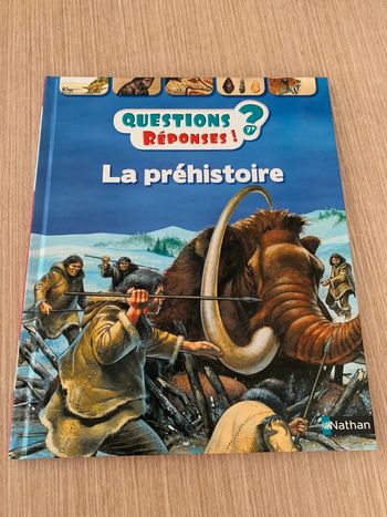 Livre questions réponses la préhistoire