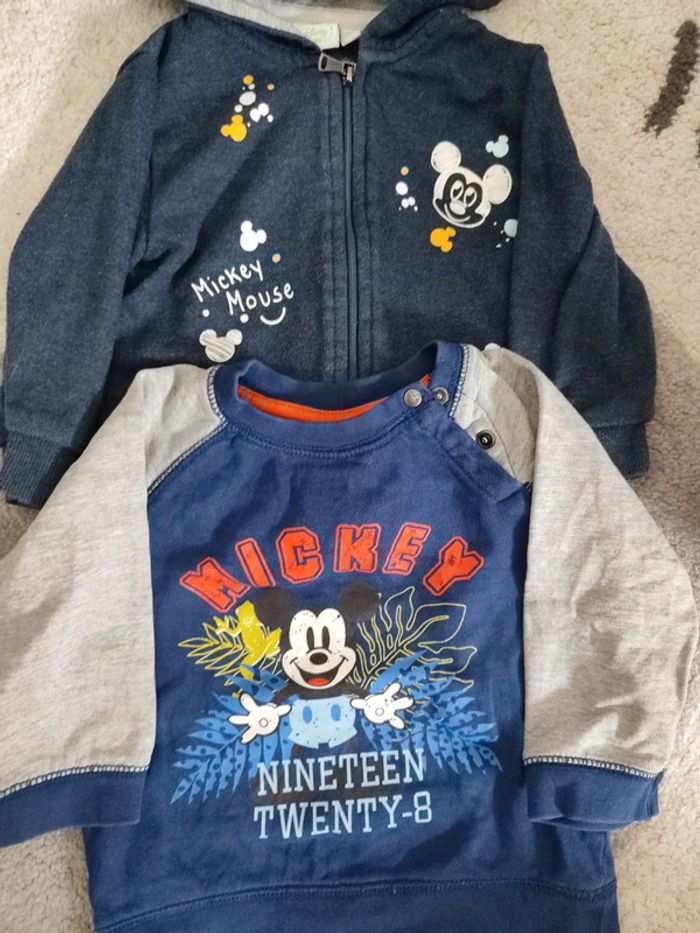 Lot deux pulls Mickey Disney