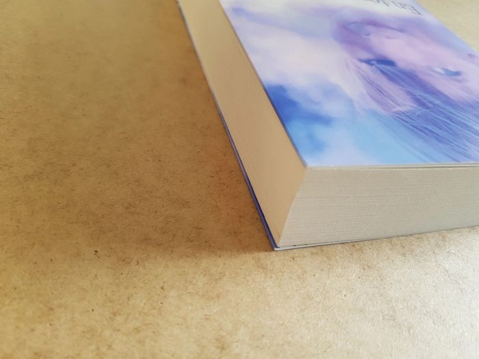 En ton âme et conscience de Claire Norton - photo numéro 3