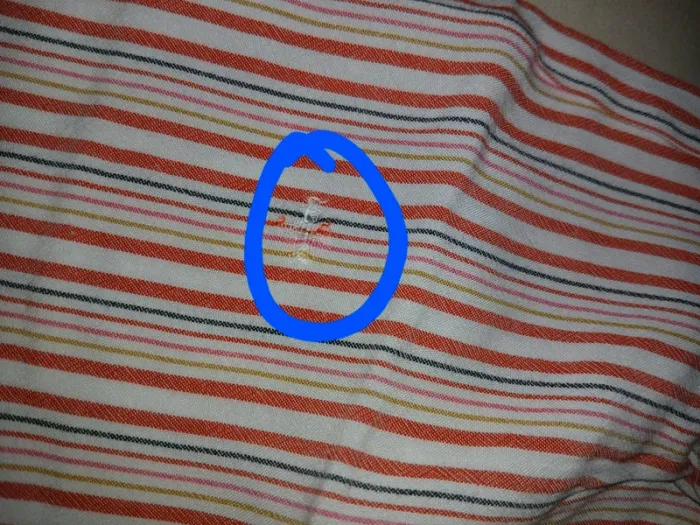 Pyjashort femme - photo numéro 5