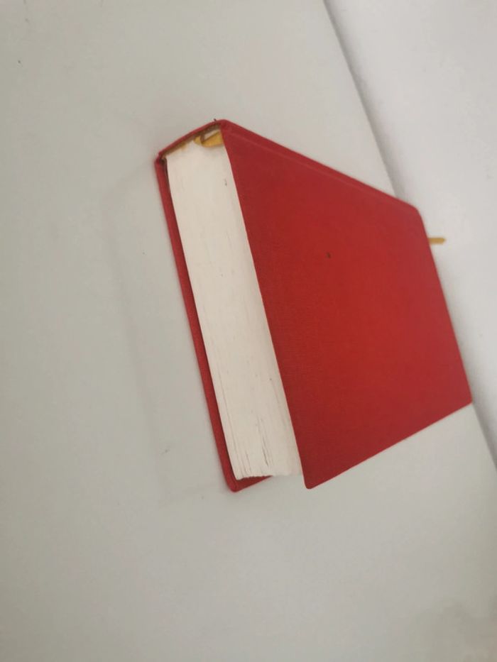 Livre Loup Durand Daddy - photo numéro 6