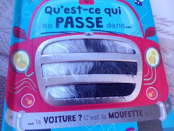 Livre Qu'est-ce qui se passe  dans la voiture?