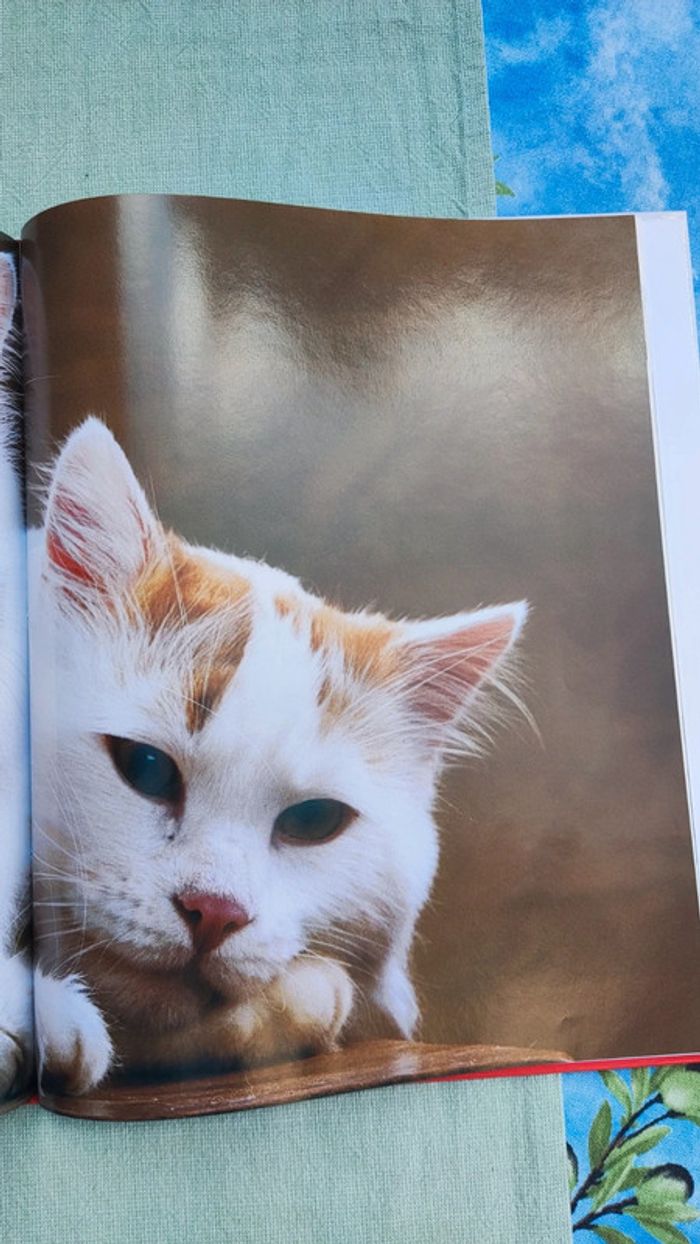 Encyclopédie Royal Canin du Chat - photo numéro 5
