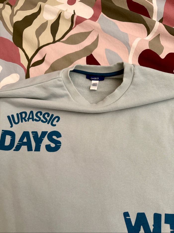 Sweat okaidi 10 ans - photo numéro 5