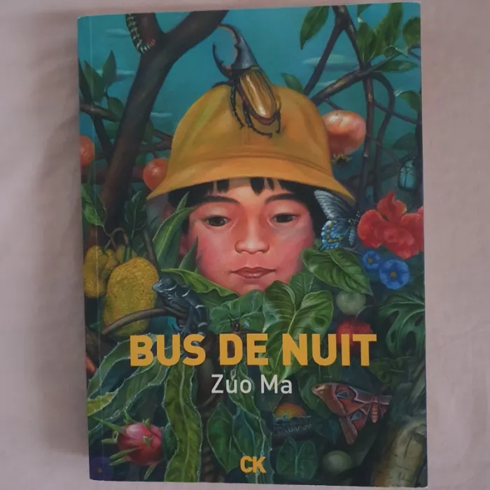 Bus de nuit