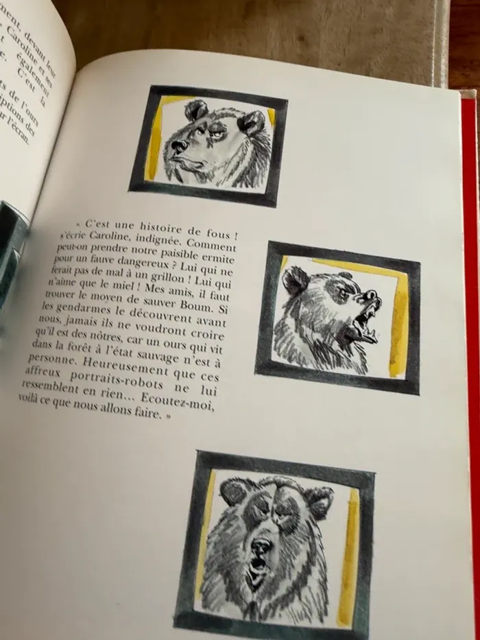 Édition limitée reliure rouge collector - BE Grand livre Caroline et Boum Ermite Pierre Probst - photo numéro 8