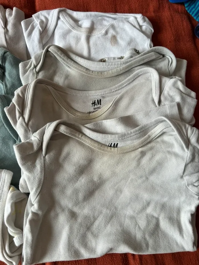 Lot bodies - photo numéro 2