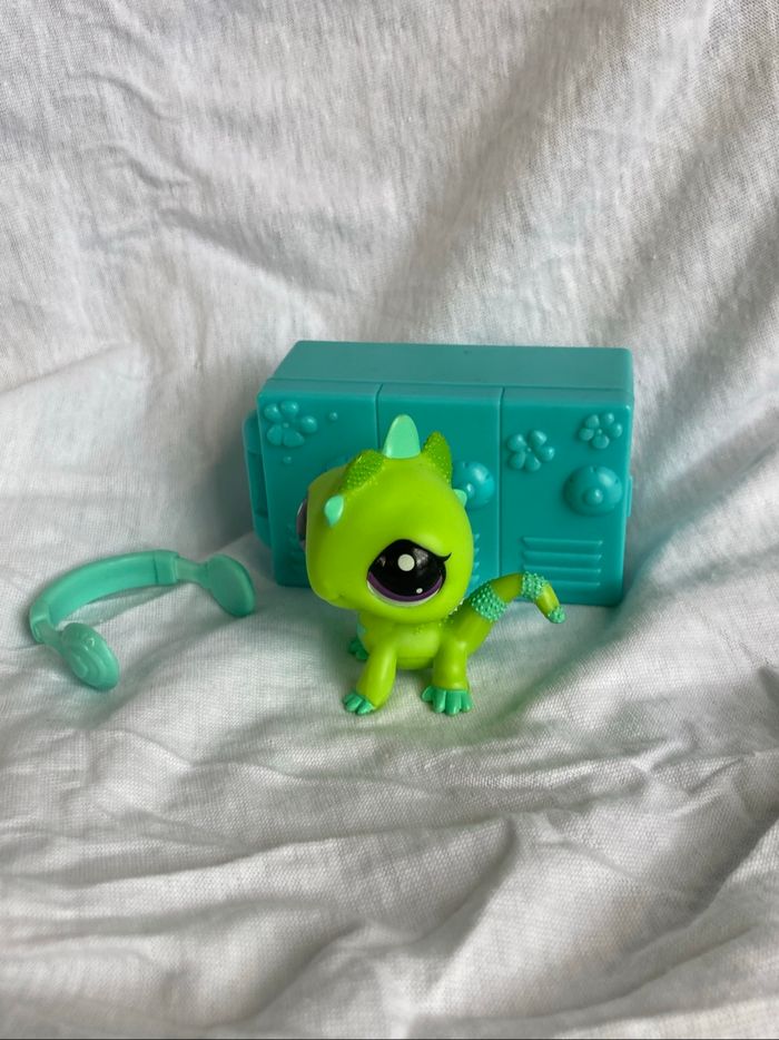 lps iguane - photo numéro 5