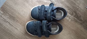 Basket geox