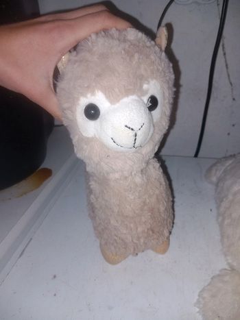 Lot de 2 peluche toute douce