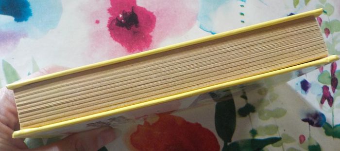 La petite sirène d'Andersen France Inter Editions - photo numéro 4