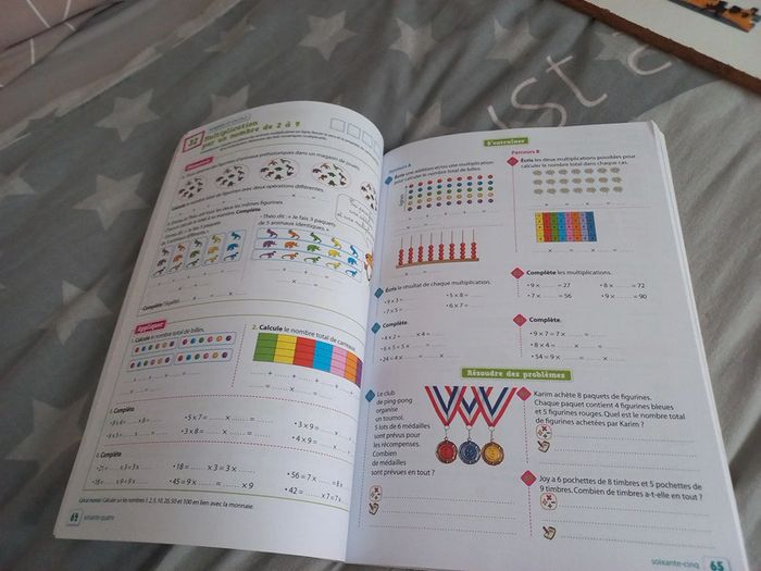 Fichier de mathématiques ce2 Litchi neuf - photo numéro 3