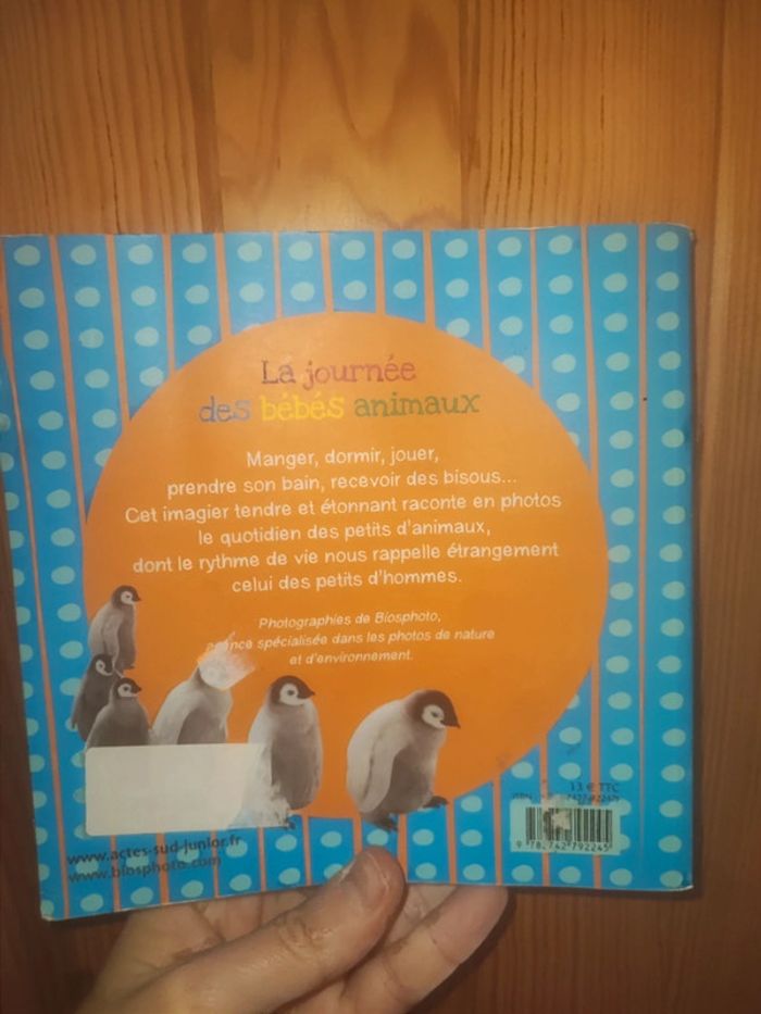 Livre la journée des bébés animaux - photo numéro 2