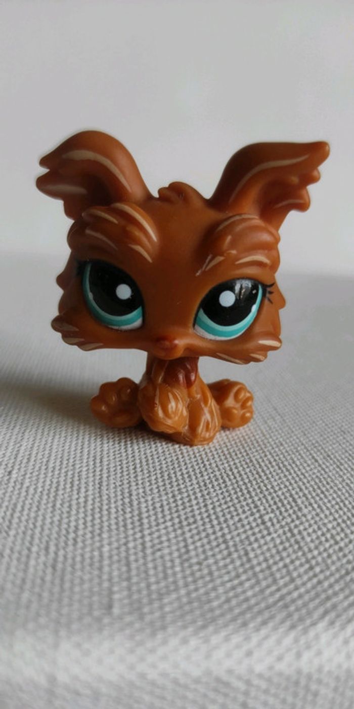 My littlest petshop chien lps Yorkshire 1407 - photo numéro 2