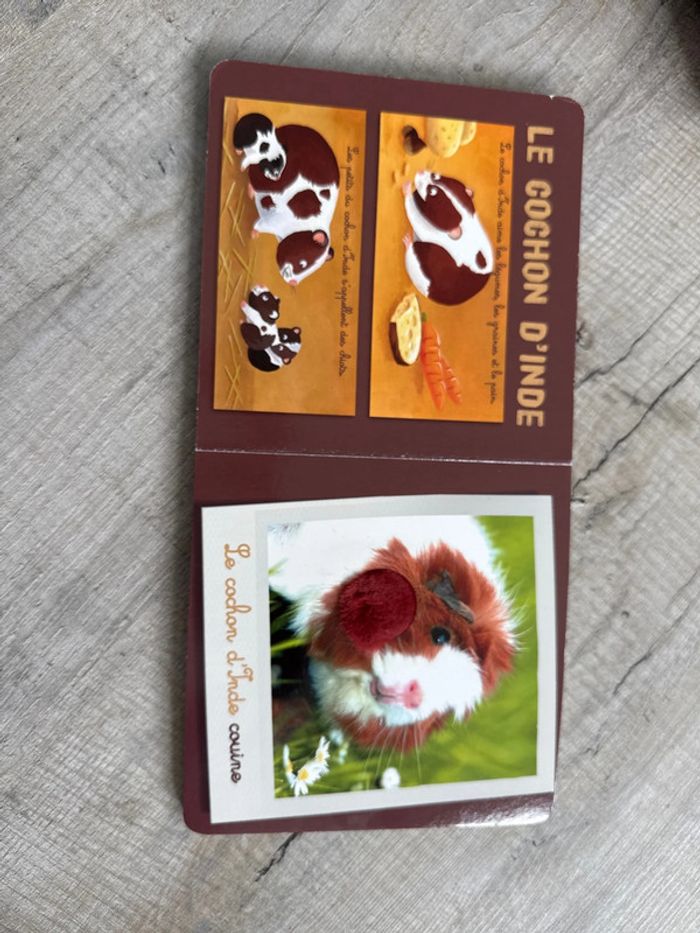 Livre les animaux de compagnie - photo numéro 2