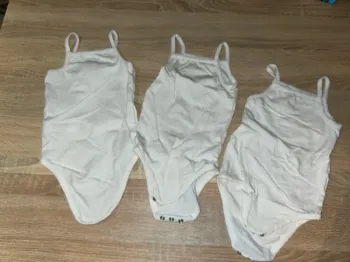 3 bodies