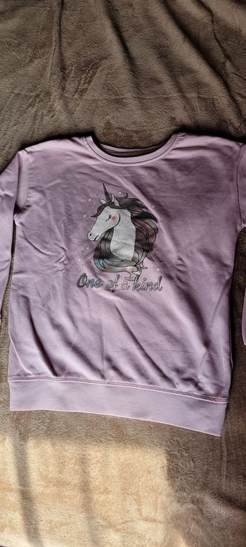 Pull licorne