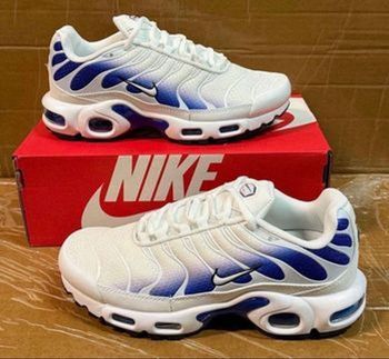 NIKE TN BLEU BLANC 38