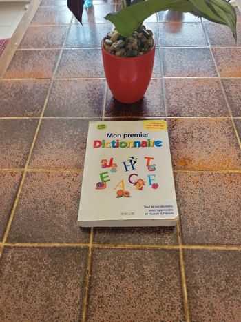 Mon premier dictionnaire