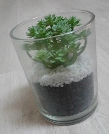Déco plante artificielle 12 cm