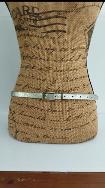 Ceinture argenté fine 90 cm