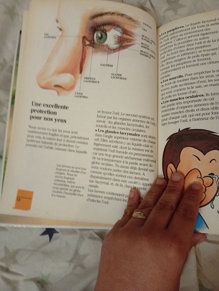 Livre "Il était une fois la vie" La vue - photo numéro 4