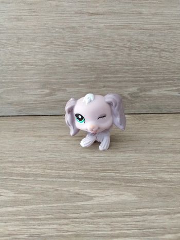 Chien little pet shop 1373