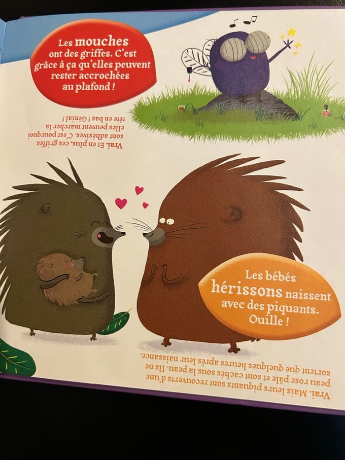 Livre comment ? - photo numéro 7