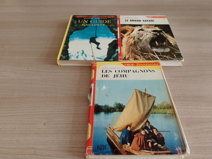 Lot de 3 livres, Divers (idéal bibliothèque)(12) - photo numéro 1