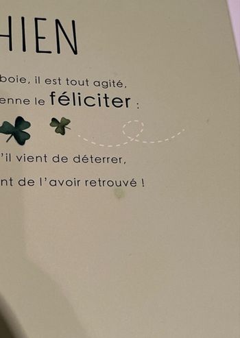 Livre Sassi campagne 