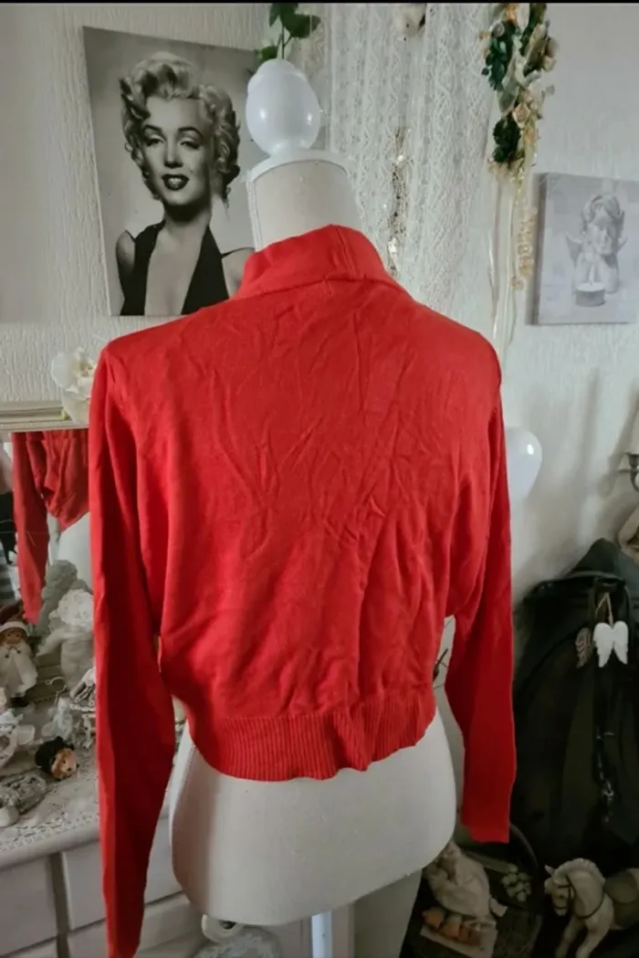 Joli gilet orange foncé Jacqueline Riu Taille 4 Neuf
Étiquette prix d achat 16.95 €
Manches longues - photo numéro 2