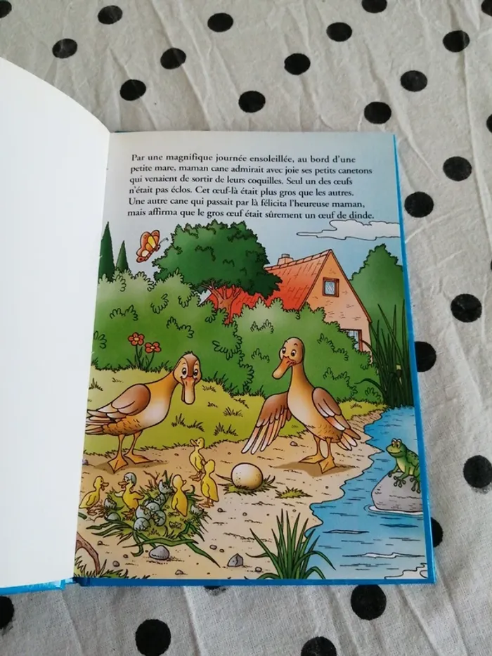 Livre le vilain petit canard / raconte-moi / dolphino - photo numéro 3