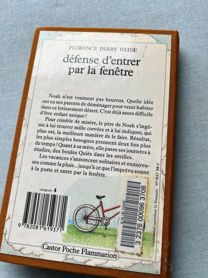 Défense d’entrer par la fenêtre - Florence parry heide - photo numéro 3