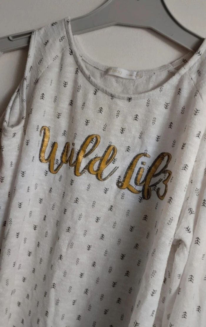 Haut Gémo 12 ans - photo numéro 4