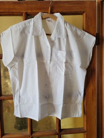 Chemise taille 42/44