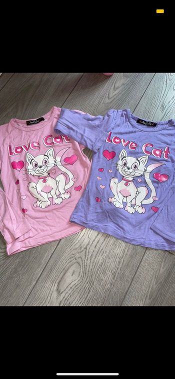 Lot de 2 tee-shirts 4/5 ans