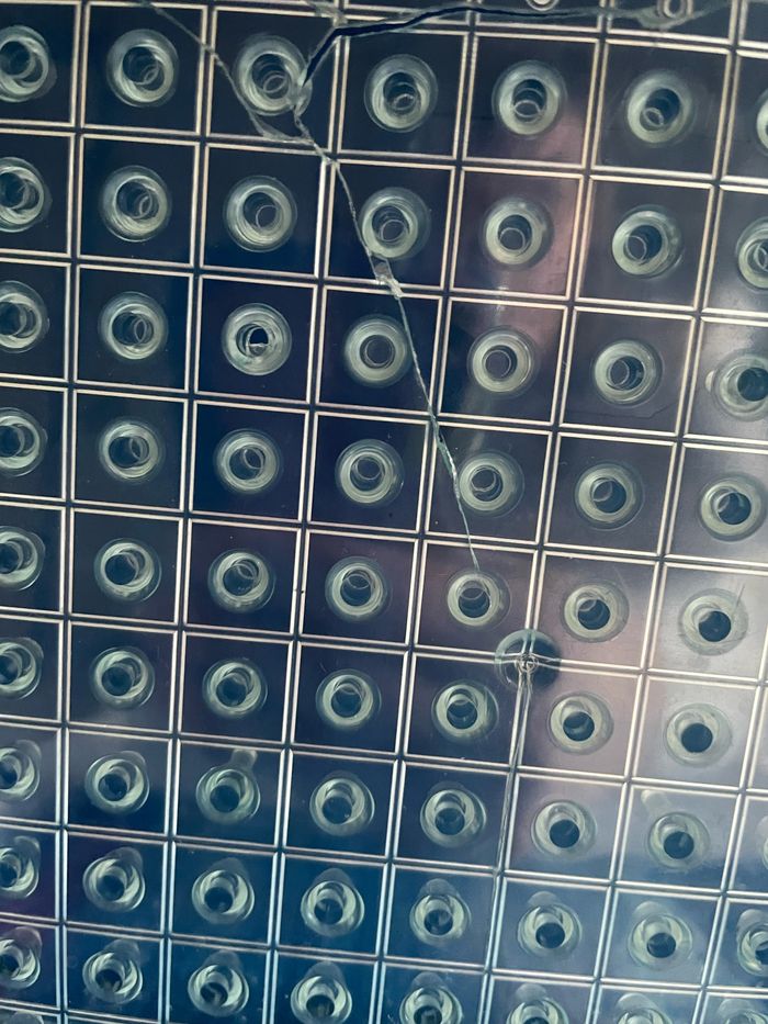 Touché coulé - photo numéro 6